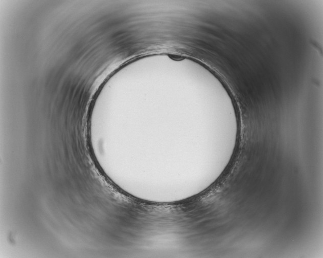 X0000103490949200810101019