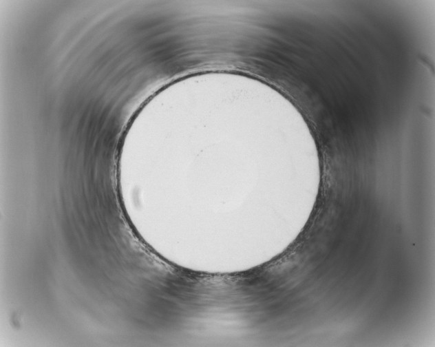 X0000103490950200810101019