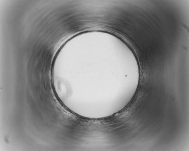 X0000103490951200810101019