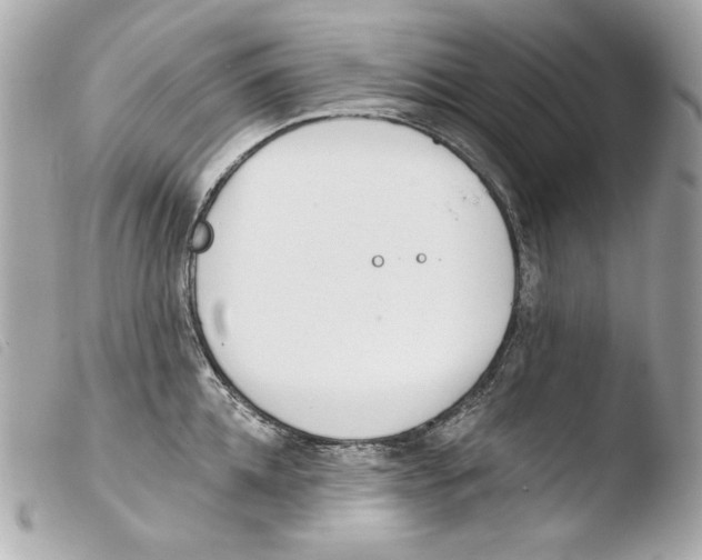 X0000103490952200810101019