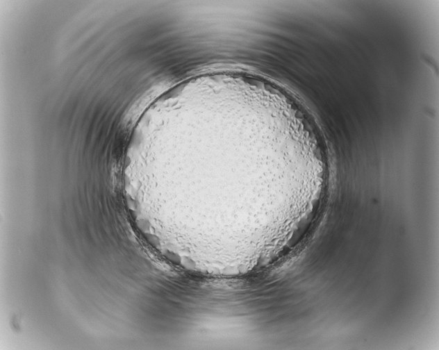 X0000103490953200810101019