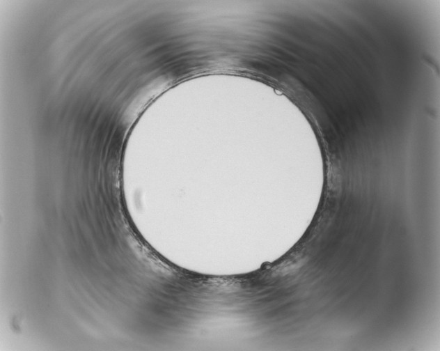 X0000103490954200810101019