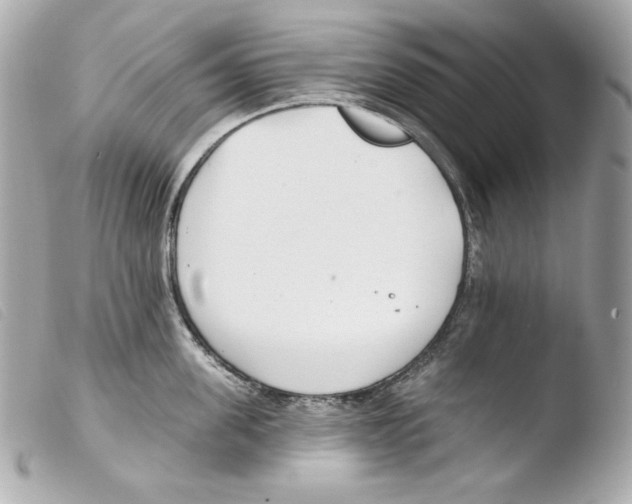 X0000103490955200810101019
