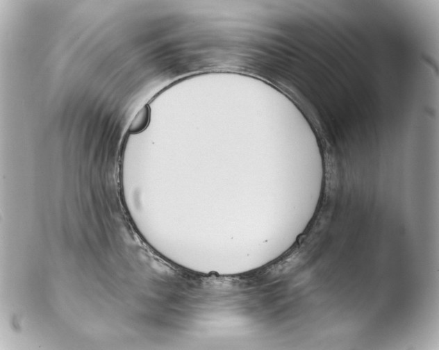 X0000103490956200810101019