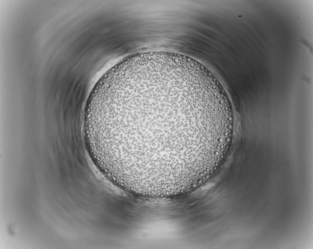 X0000103490957200810101019