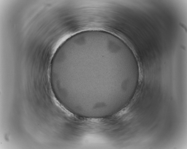X0000103490958200810101019