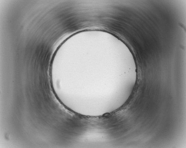 X0000103490959200810101019