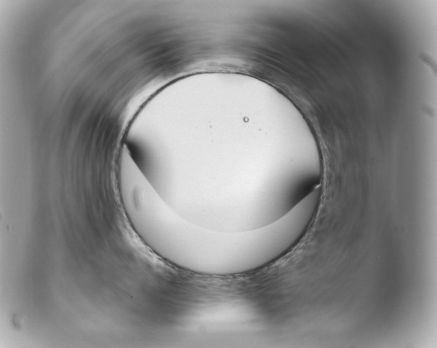 X0000103490960200810101019