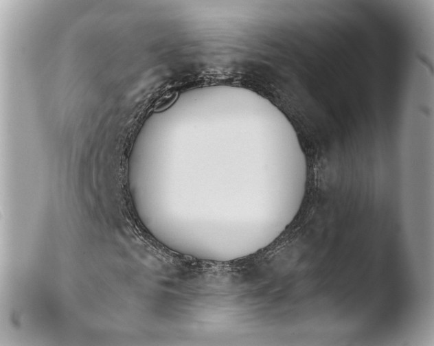 X0000103490961200810101018