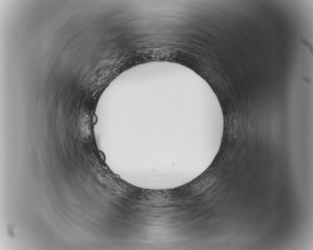 X0000103490962200810101018