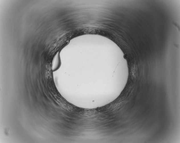 X0000103490964200810101018