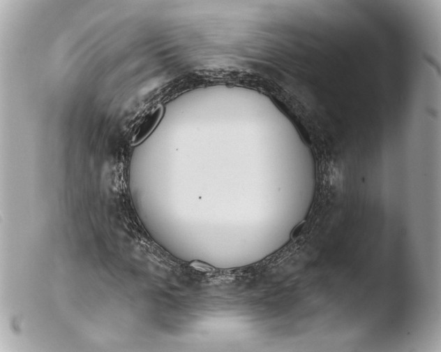 X0000103490965200810101018