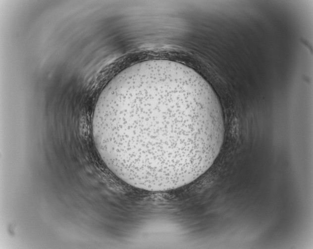 X0000103490966200810101018