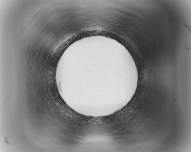 X0000103490967200810101018