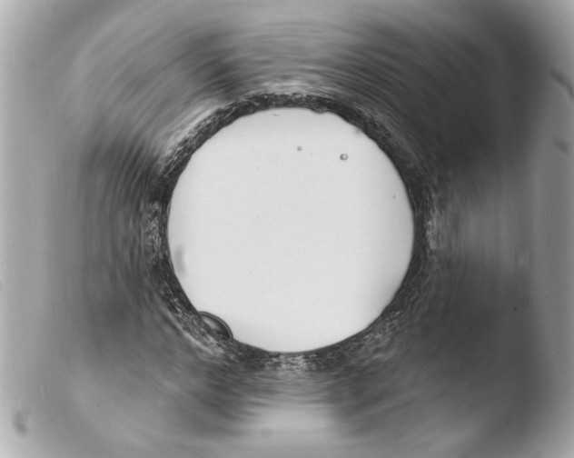 X0000103490968200810101018