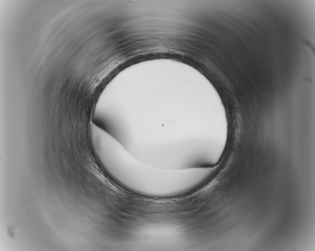 X0000103490969200810101018