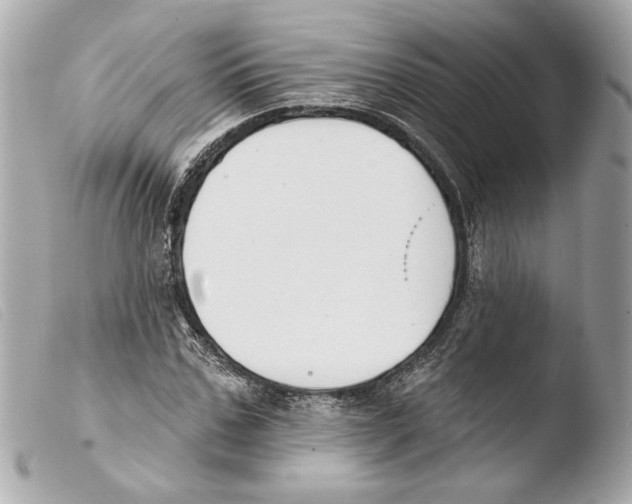 X0000103490971200810101018