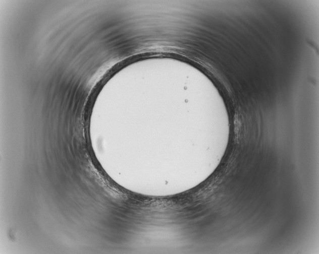 X0000103490972200810101018