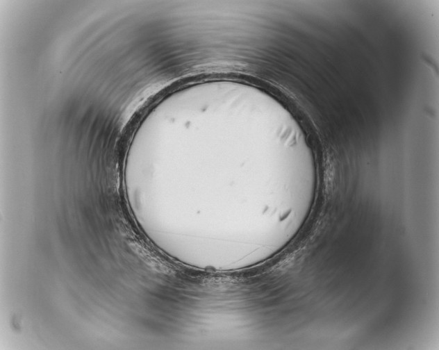 X0000103490973200810101018