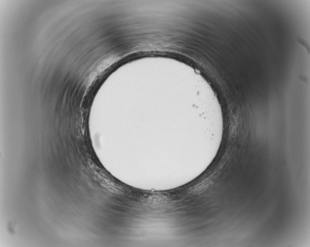 X0000103490974200810101018