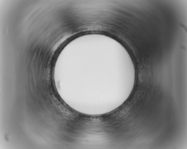 X0000103490975200810101018