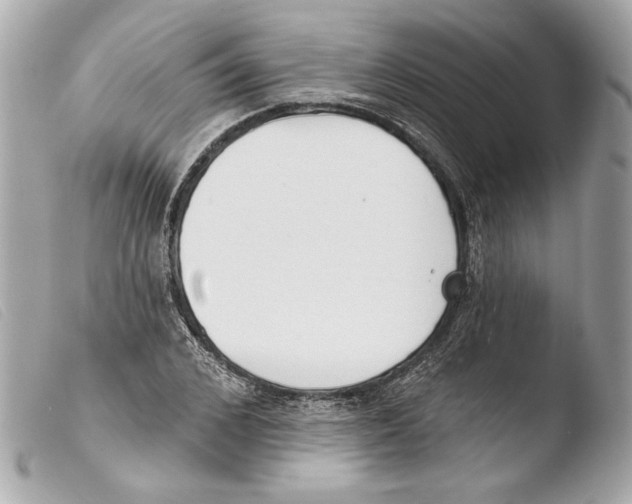 X0000103490976200810101018