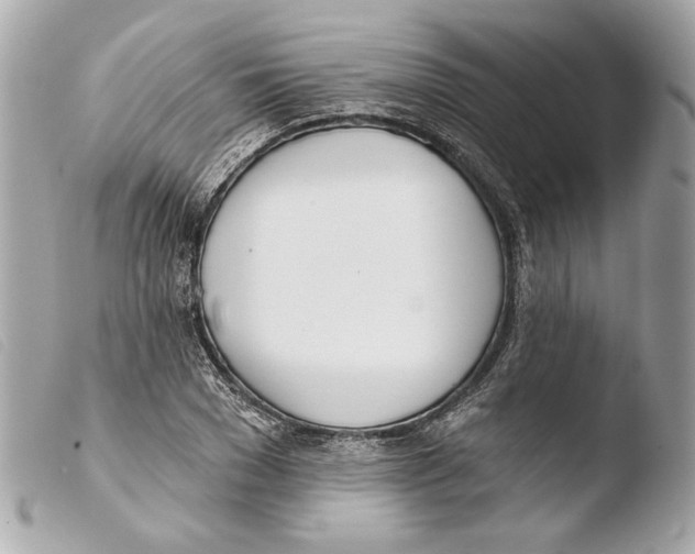 X0000103490977200810101018