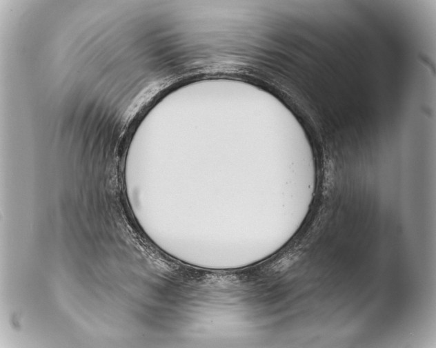 X0000103490978200810101018