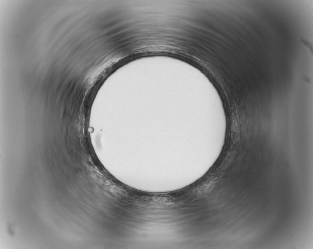X0000103490979200810101018