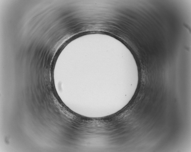 X0000103490980200810101018