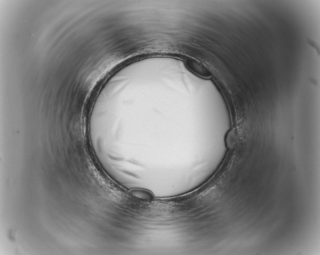 X0000103490981200810101018