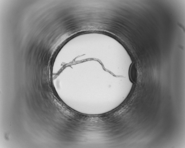 X0000103490982200810101018