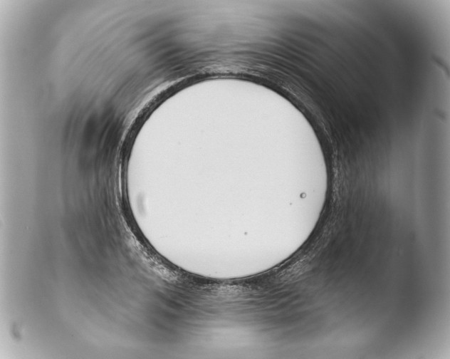 X0000103490984200810101018
