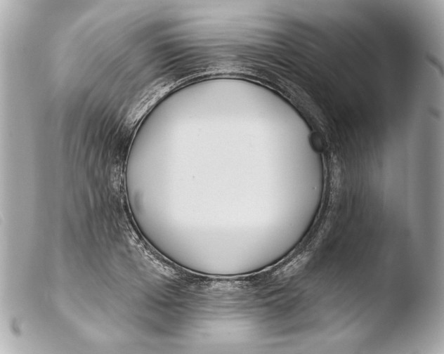 X0000103490985200810101018