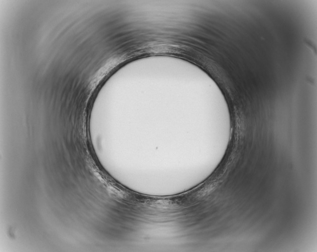 X0000103490986200810101018