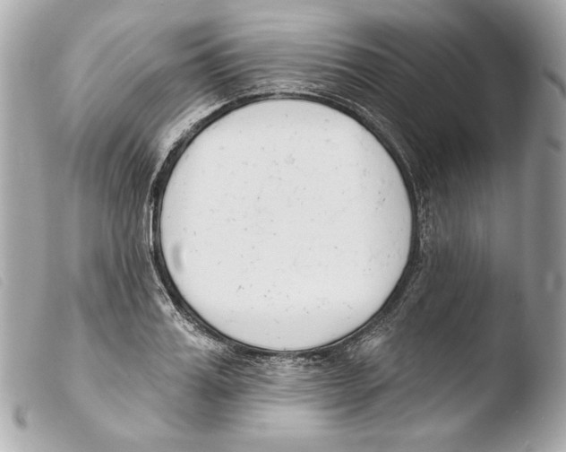 X0000103490987200810101018