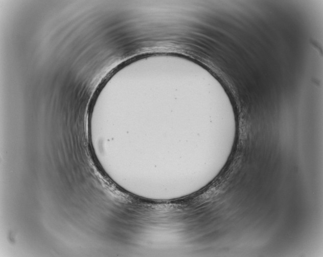 X0000103490988200810101018