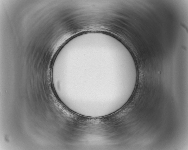 X0000103490990200810101018