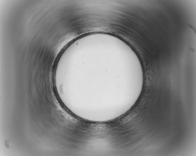 X0000103490991200810101018