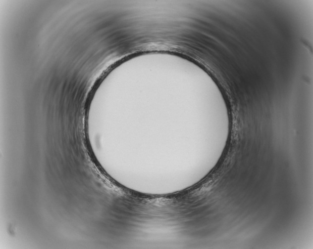 X0000103490992200810101018