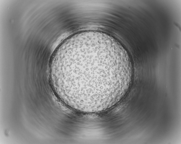 X0000103490994200810101018