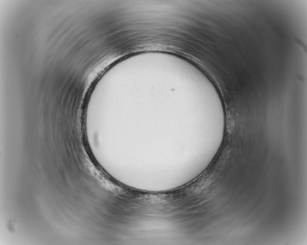 X0000103490995200810101018