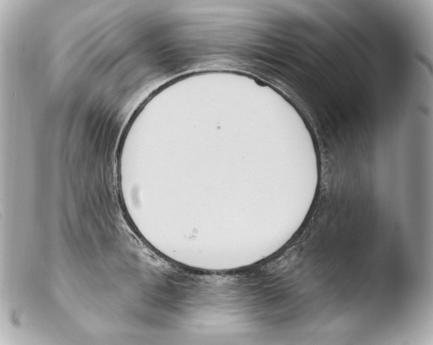 X0000103490996200810101018