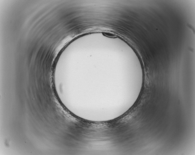 X0000103490997200810101018
