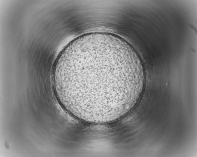 X0000103490998200810101018