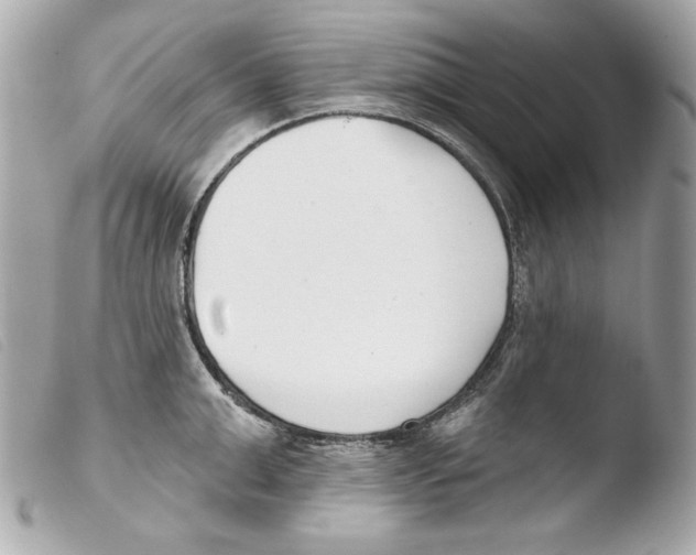 X0000103490999200810101018