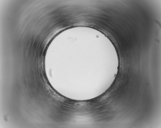 X0000103491000200810101018