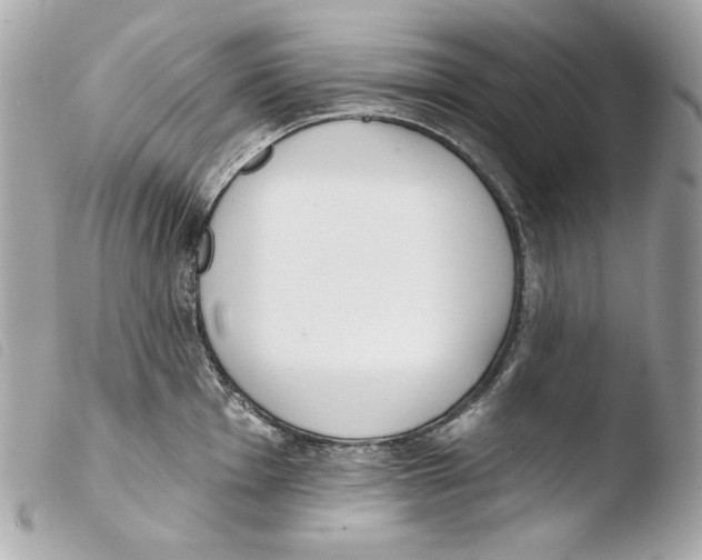 X0000103491001200810101018