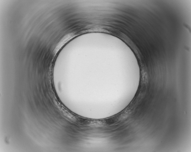 X0000103491002200810101018