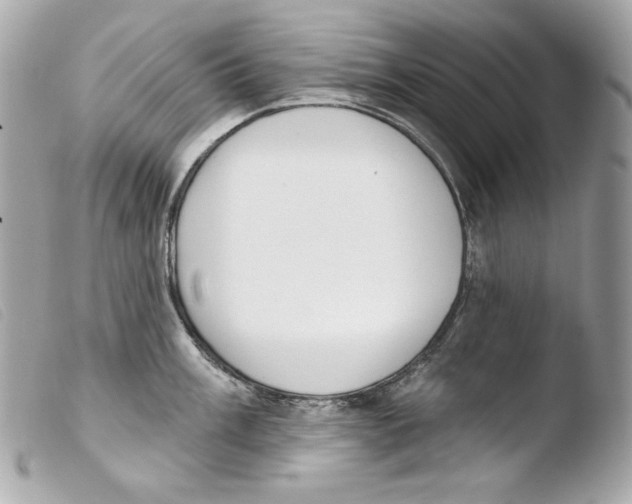 X0000103491003200810101018